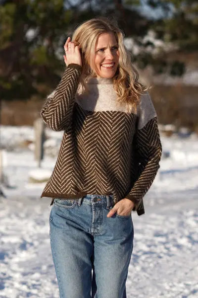Dory Zweifarbiger Rollkragenpullover aus Baumwolle