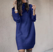Damen Rollkragen Pulloverkleid | Langarm