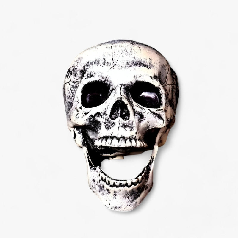 BoneChill Halloween Skelett & Schädel Deko – Echte Grusel‑Stimmung für Party & Spukhaus