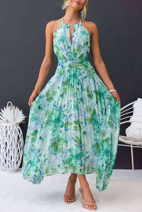 Aloysia  - Blumendruck Maxikleid