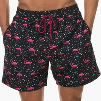 Schwarzer Flamingo