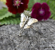 Schmetterling Ring