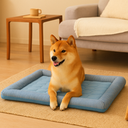 Kühlmatte für Haustiere für den Sommer – ChillPaws