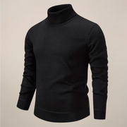 Alexander | Herren Frühlings Rollkragenpullover