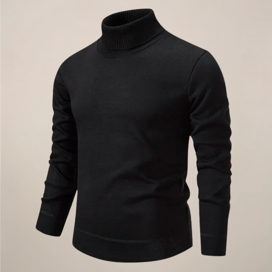 Alexander | Herren Frühlings Rollkragenpullover