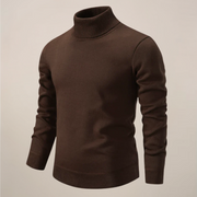 Alexander | Herren Frühlings Rollkragenpullover