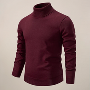 Alexander | Herren Frühlings Rollkragenpullover