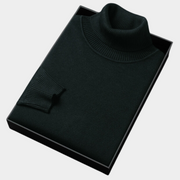 Daniel | Herren Frühlings Rollkragenpullover
