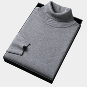 Daniel | Herren Frühlings Rollkragenpullover
