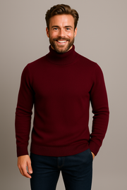 Daniel | Herren Frühlings Rollkragenpullover