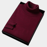 Daniel | Herren Frühlings Rollkragenpullover