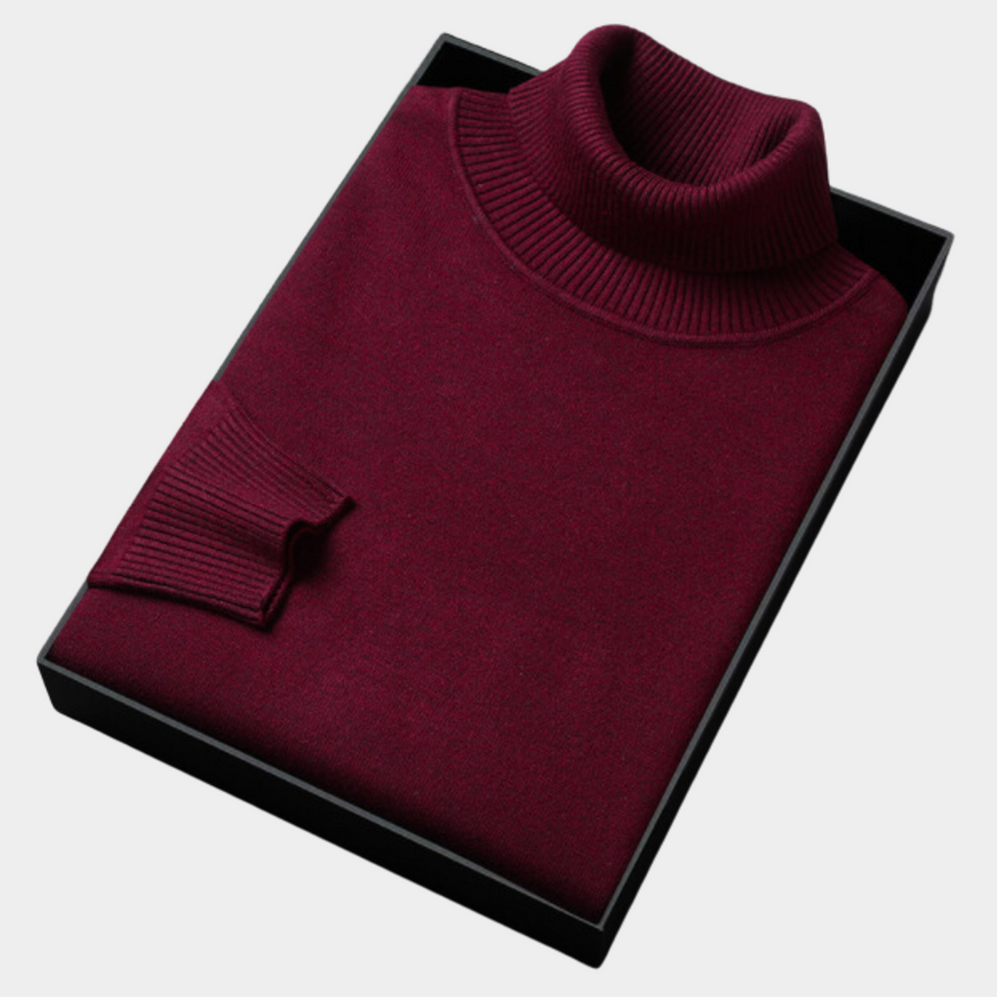 Daniel | Herren Frühlings Rollkragenpullover