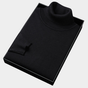 Daniel | Herren Frühlings Rollkragenpullover