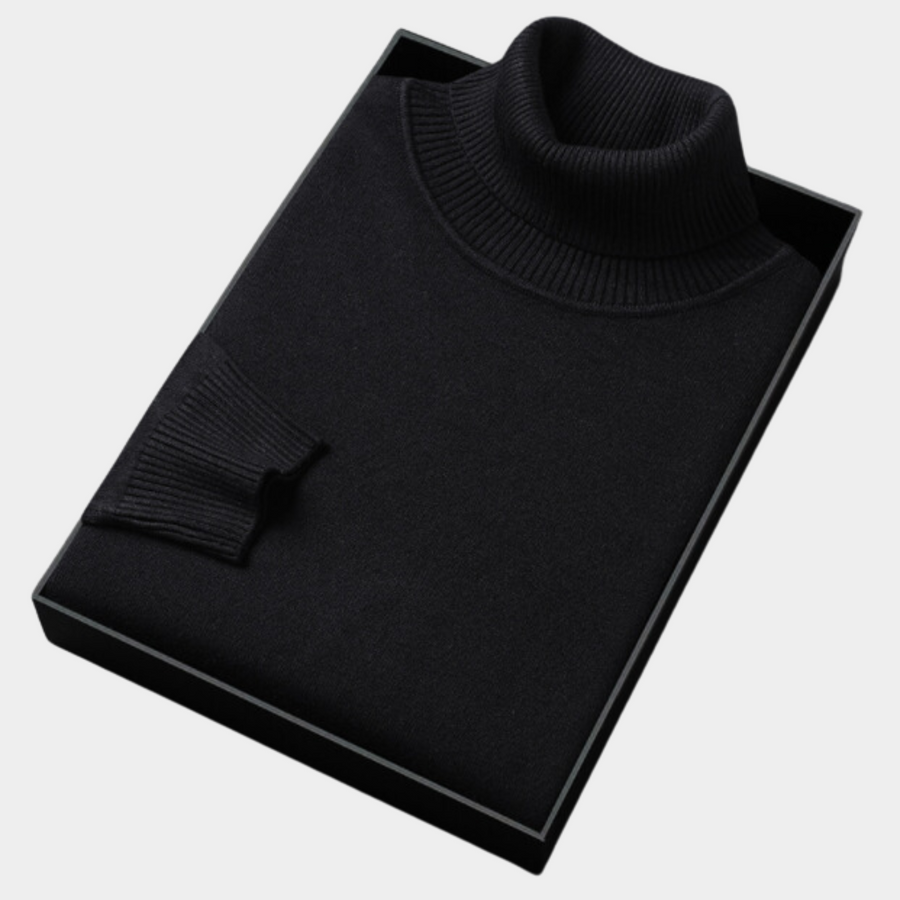 Daniel | Herren Frühlings Rollkragenpullover