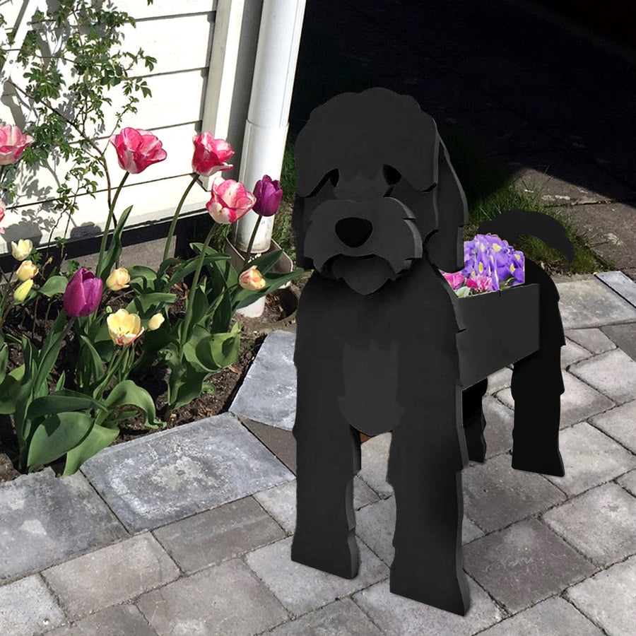 Schwarzer Cockapoo Blumentopf