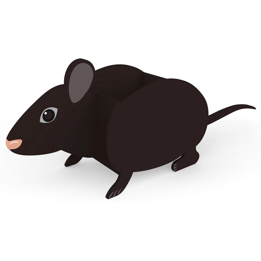 Ratte Pflanzgefäß