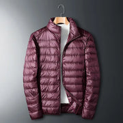 Herren Daunenjacke Mit Stehkragen | Winter