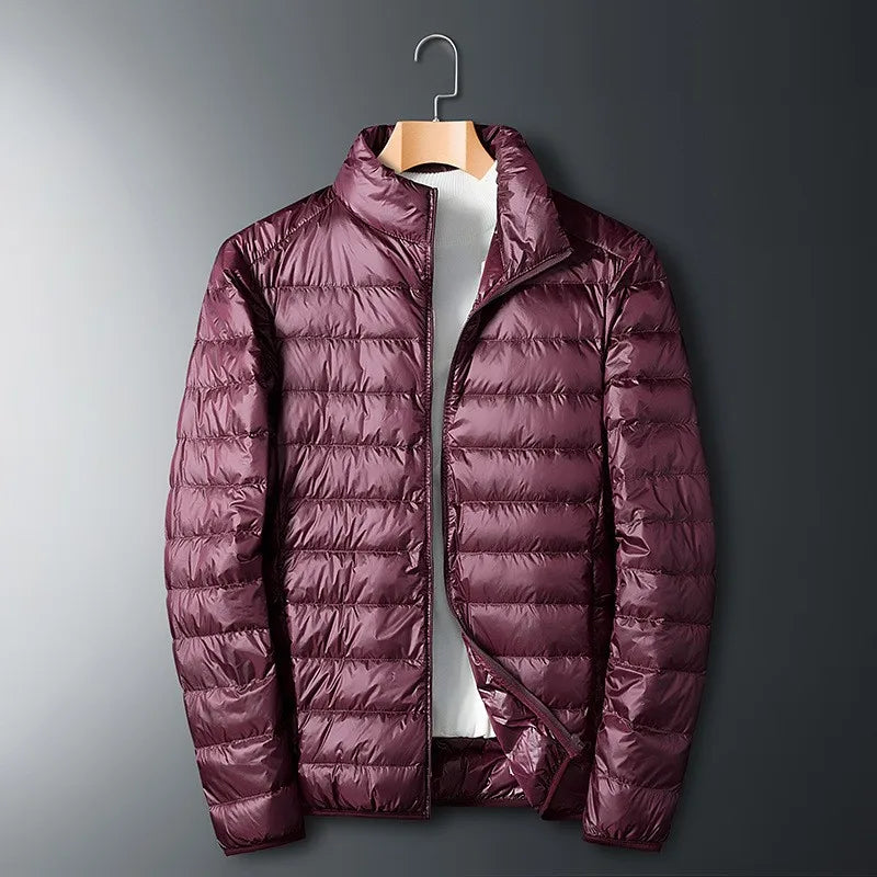 Herren Daunenjacke Mit Stehkragen | Winter