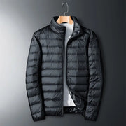 Herren Daunenjacke Mit Stehkragen | Winter