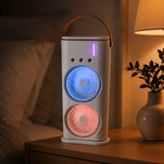 Doppelkopf Luftkühler mit Sprühnebel und USB