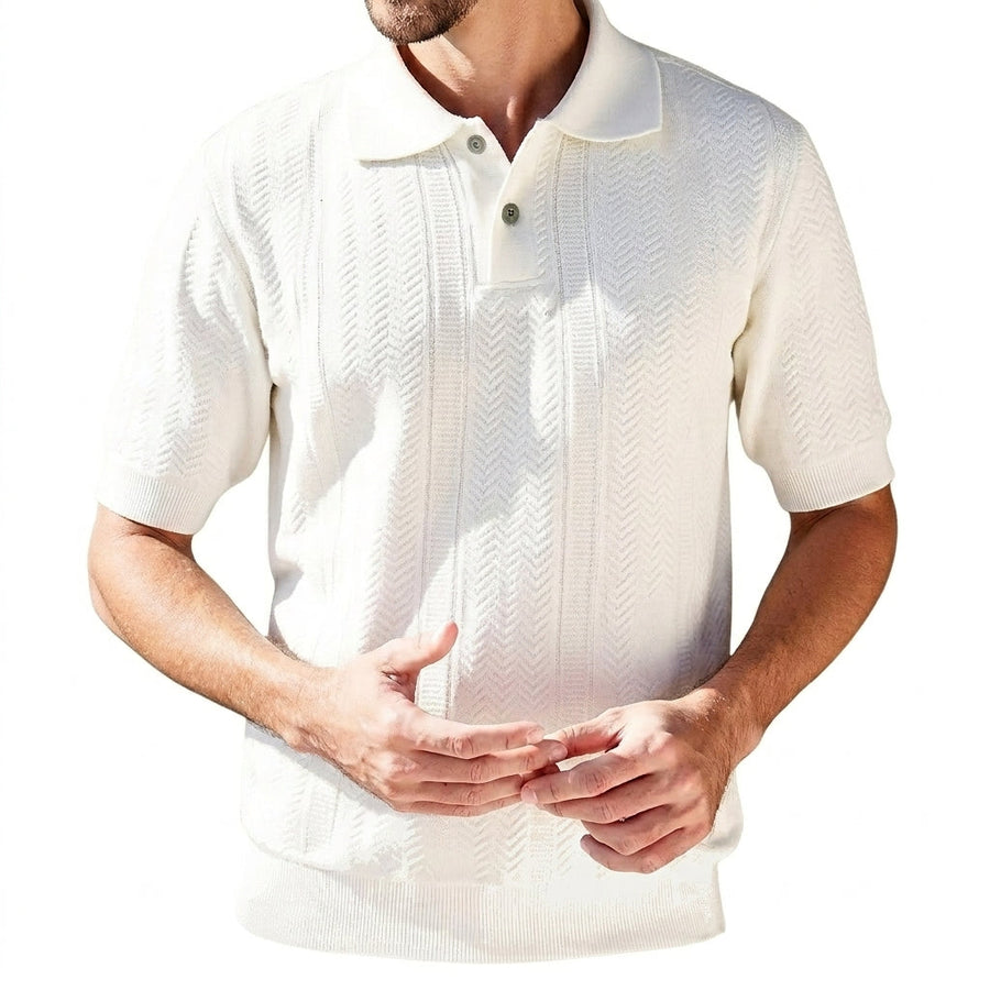 Herren Strick-Poloshirt mit Knopfleiste
