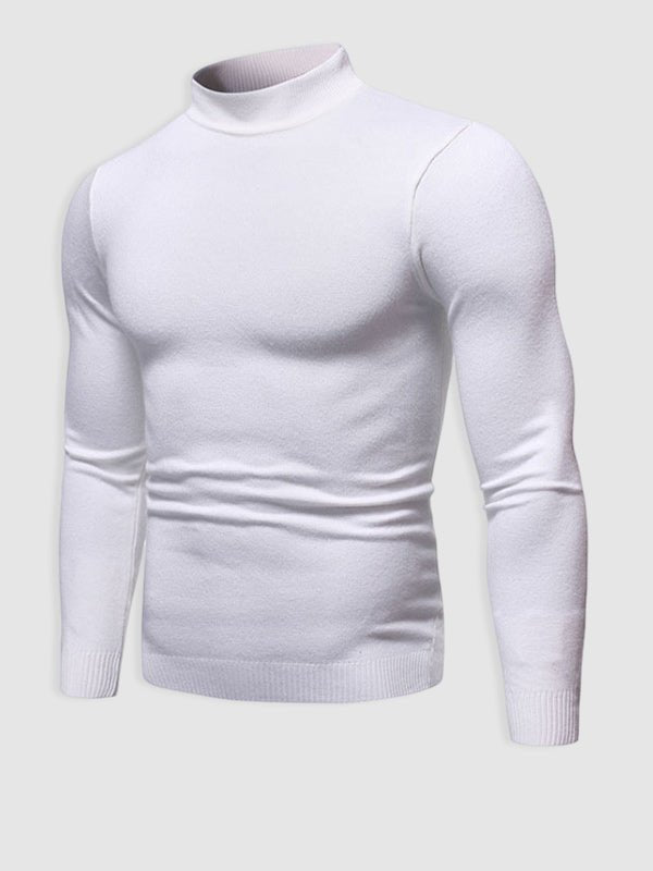 Alexander | Herren Frühlings Slim-Fit Rollkragenpullover