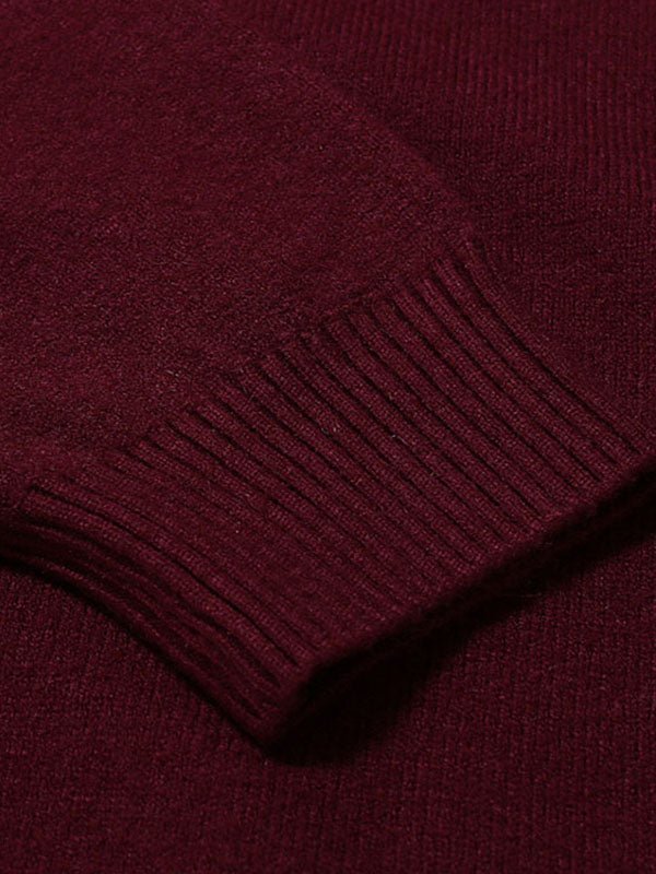 Alexander | Herren Frühlings Slim-Fit Rollkragenpullover