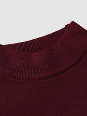 Alexander | Herren Frühlings Slim-Fit Rollkragenpullover