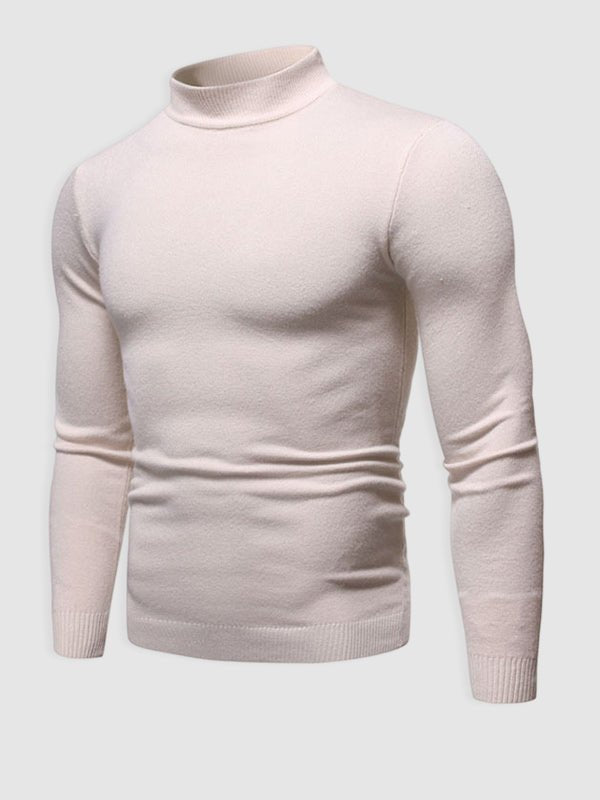 Alexander | Herren Frühlings Slim-Fit Rollkragenpullover