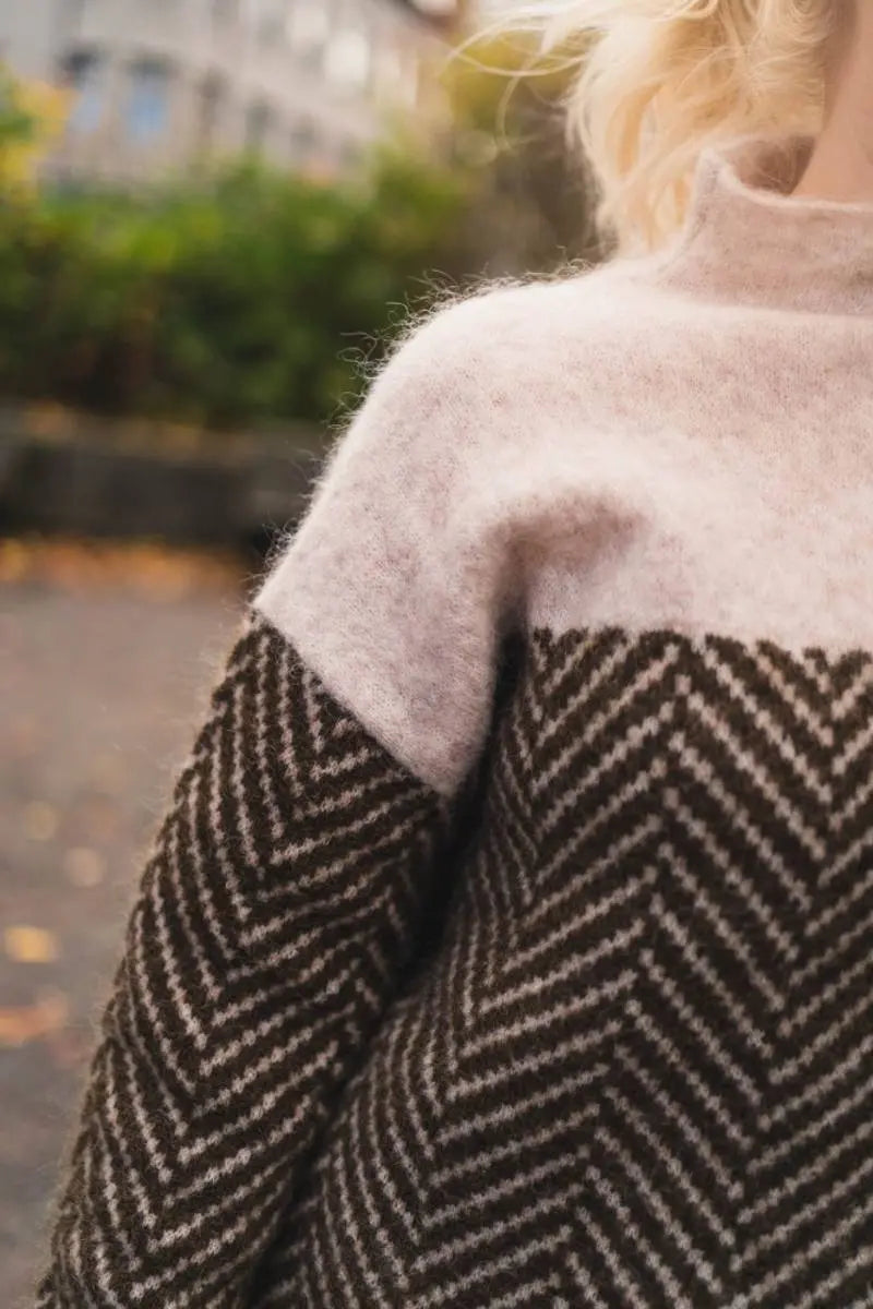 Dory Zweifarbiger Rollkragenpullover aus Baumwolle